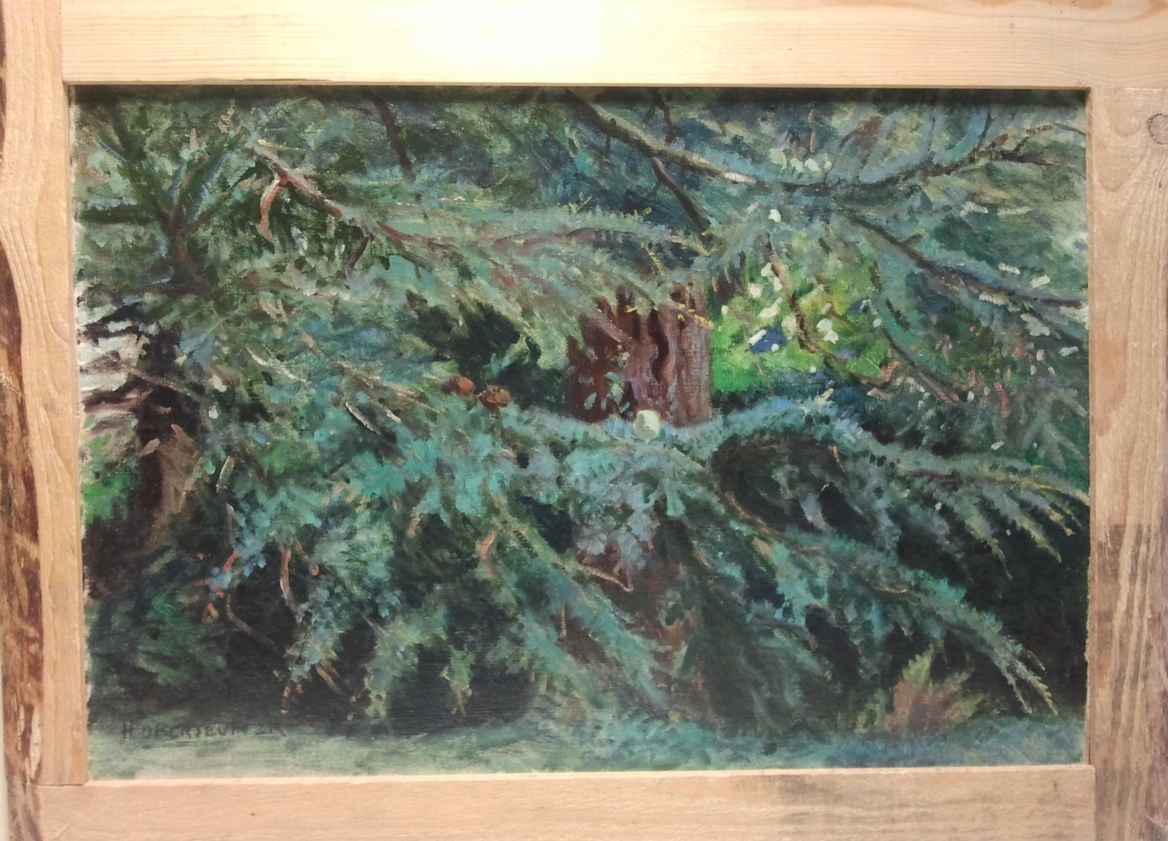 De pijnbomen